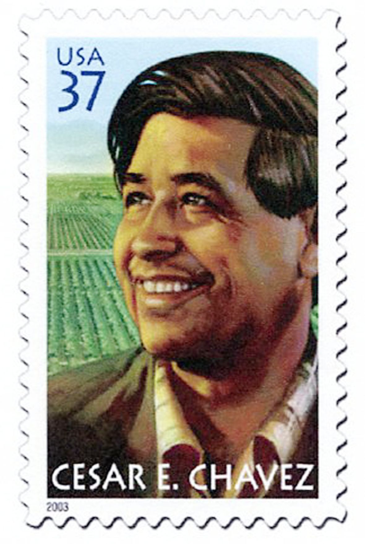 Grape pickers strike
